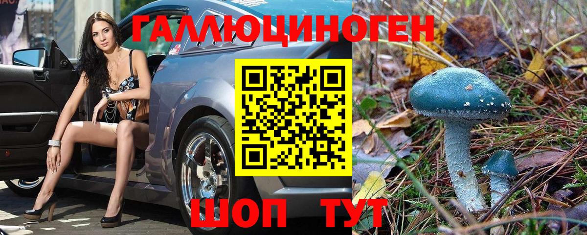 Галлюциногенные грибы Magic Shrooms  Вход с VPN  Псилоцибиновые грибы прущие грибы  Губкин 