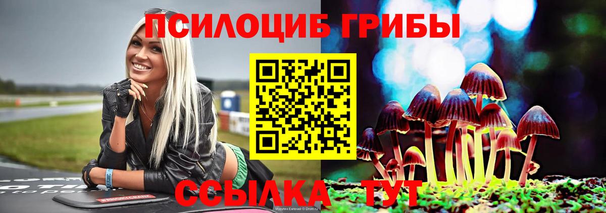Псилоцибиновые грибы мицелий Губкин